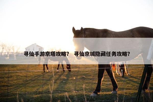 寻仙手游京塔攻略？ 寻仙京城隐藏任务攻略？