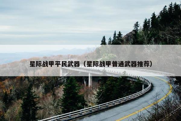 星际战甲平民武器（星际战甲普通武器推荐）