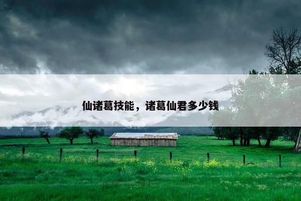 仙诸葛技能，诸葛仙君多少钱
