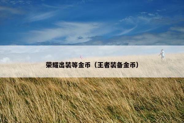 荣耀出装等金币（王者装备金币）