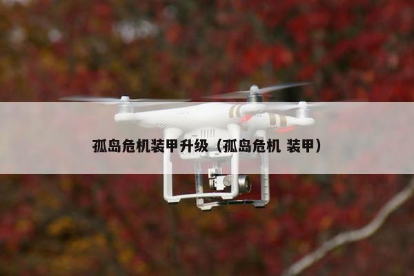 孤岛危机装甲升级（孤岛危机 装甲）