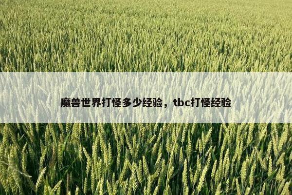 魔兽世界打怪多少经验，tbc打怪经验
