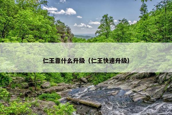 仁王靠什么升级（仁王快速升级）