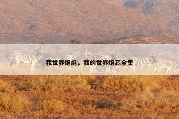 我世界炮炮，我的世界炮芯全集