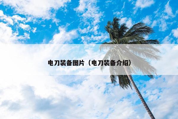 电刀装备图片（电刀装备介绍）