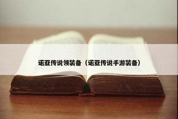 诺亚传说领装备（诺亚传说手游装备）