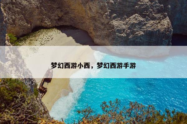 梦幻西游小西，梦幻西游手游