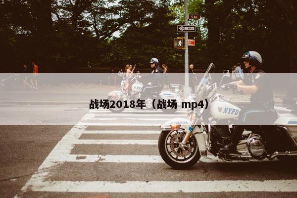 战场2018年（战场 mp4）