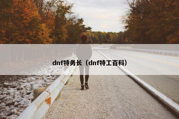 dnf特务长（dnf特工百科）