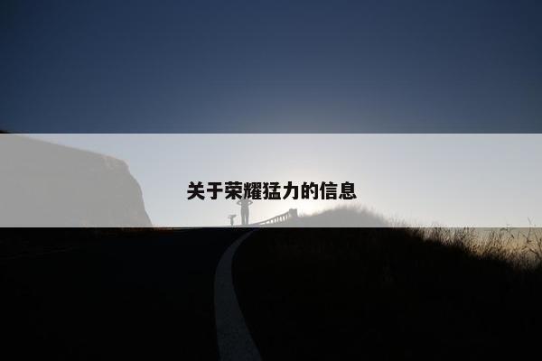 关于荣耀猛力的信息