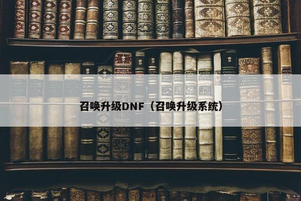 召唤升级DNF（召唤升级系统）