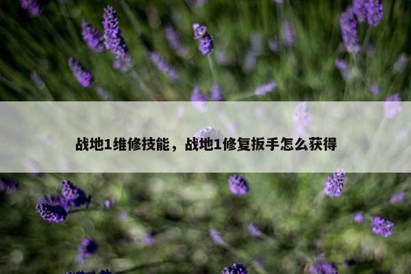 战地1维修技能，战地1修复扳手怎么获得