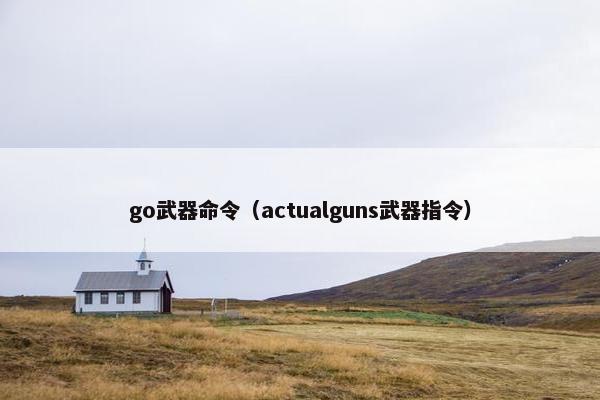 go武器命令（actualguns武器指令）