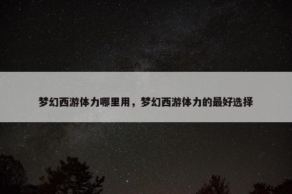 梦幻西游体力哪里用，梦幻西游体力的最好选择