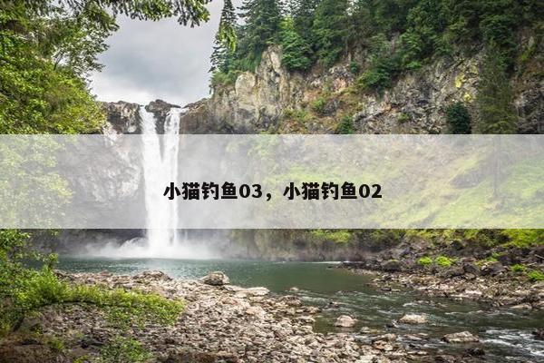 小猫钓鱼03，小猫钓鱼02