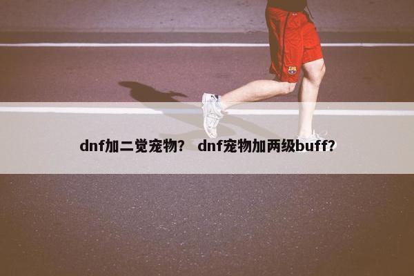 dnf加二觉宠物？ dnf宠物加两级buff？