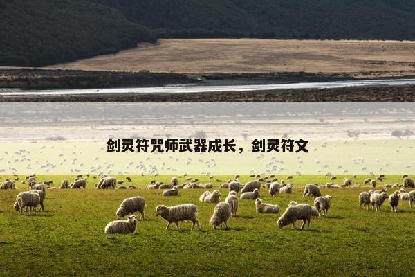 剑灵符咒师武器成长，剑灵符文