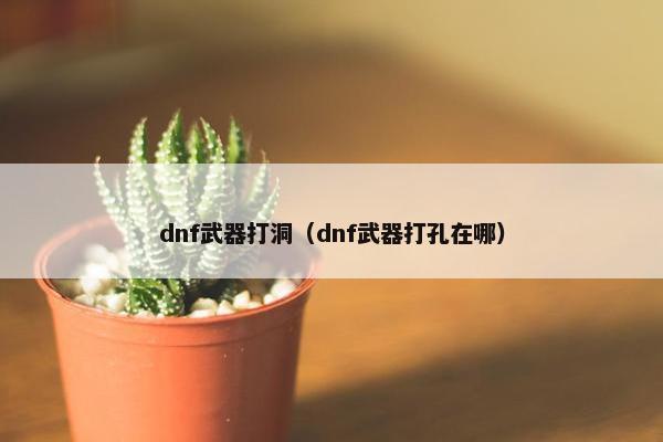 dnf武器打洞（dnf武器打孔在哪）