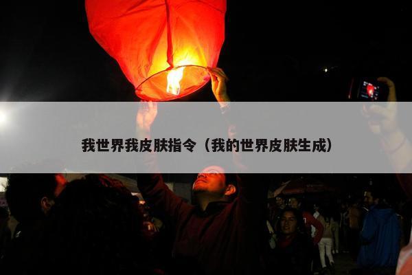 我世界我皮肤指令（我的世界皮肤生成）