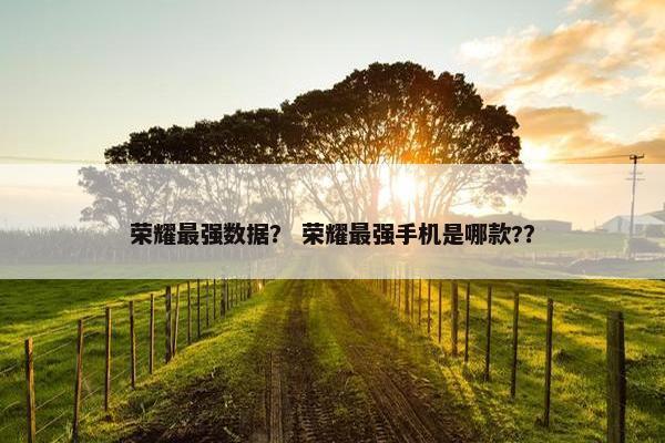 荣耀最强数据？ 荣耀最强手机是哪款?？