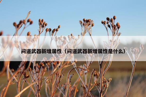 问道武器新增属性（问道武器新增属性是什么）