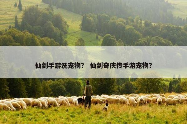 仙剑手游洗宠物？ 仙剑奇侠传手游宠物？