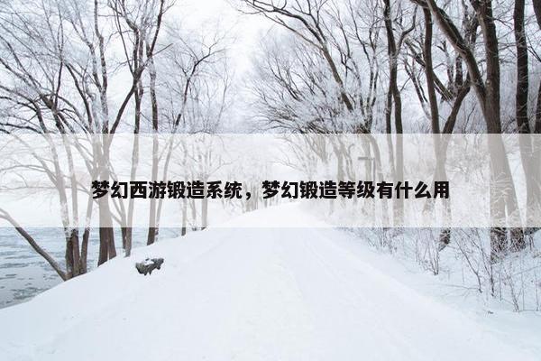 梦幻西游锻造系统，梦幻锻造等级有什么用