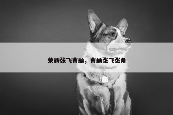荣耀张飞曹操，曹操张飞张角