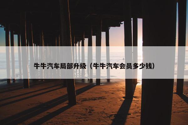 牛牛汽车局部升级（牛牛汽车会员多少钱）