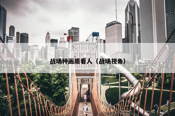 战场种画质看人（战场视角）