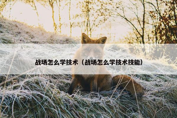 战场怎么学技术（战场怎么学技术技能）