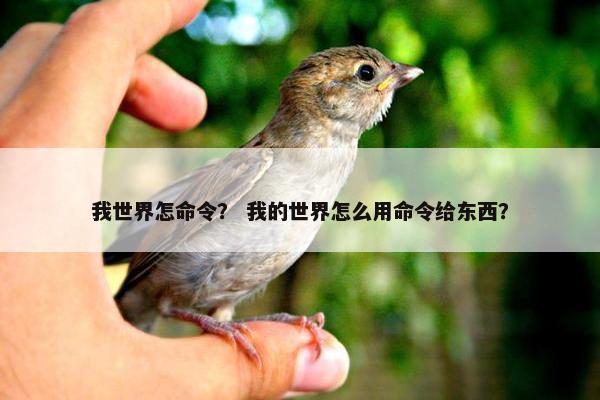 我世界怎命令？ 我的世界怎么用命令给东西？