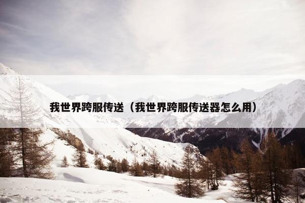 我世界跨服传送（我世界跨服传送器怎么用）
