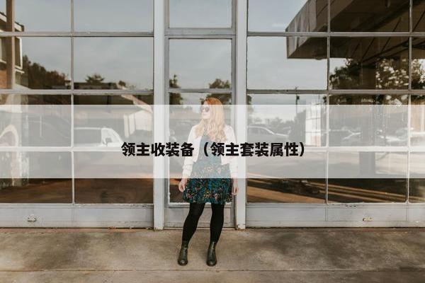 领主收装备（领主套装属性）