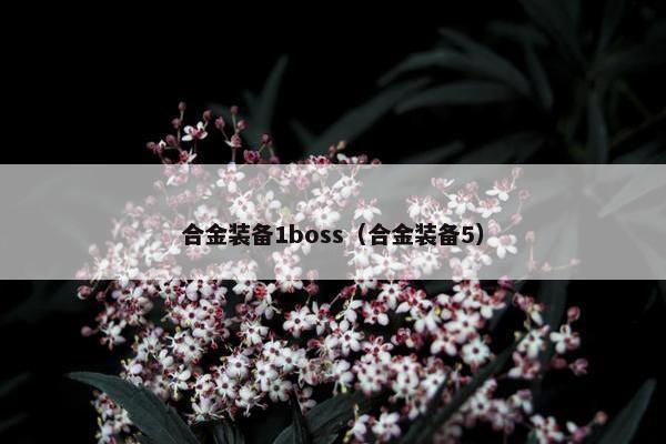 合金装备1boss（合金装备5）