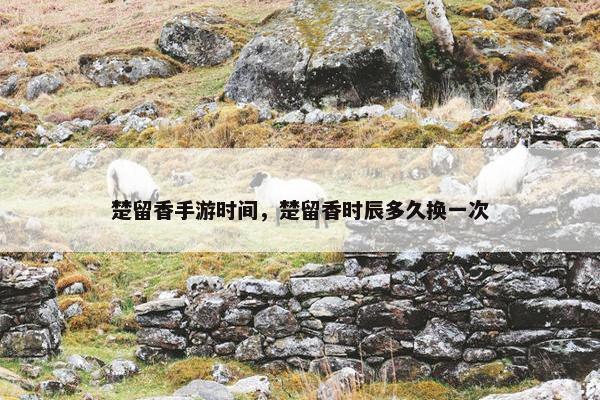楚留香手游时间，楚留香时辰多久换一次