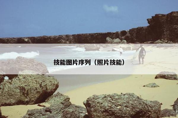 技能图片序列（照片技能）