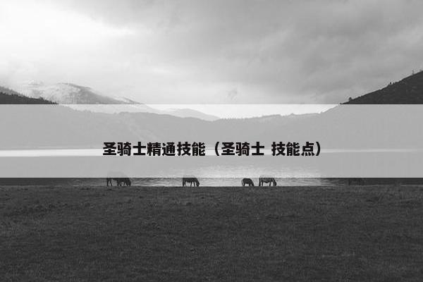 圣骑士精通技能（圣骑士 技能点）