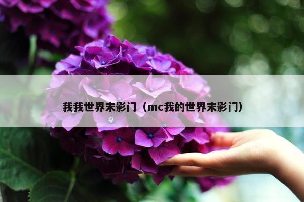 我我世界末影门（mc我的世界末影门）
