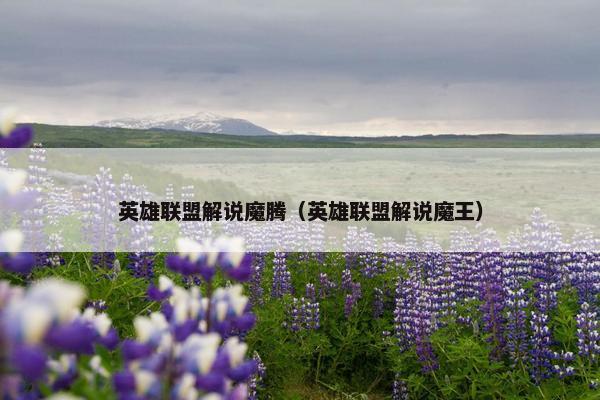 英雄联盟解说魔腾（英雄联盟解说魔王）