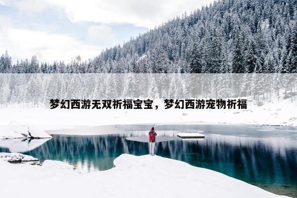梦幻西游无双祈福宝宝，梦幻西游宠物祈福