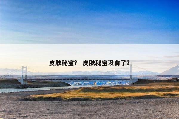 皮肤秘宝？ 皮肤秘宝没有了？