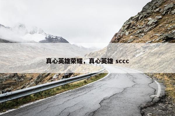 真心英雄荣耀，真心英雄 sccc