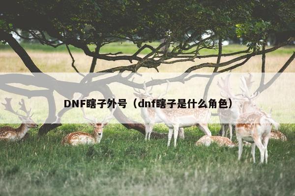 DNF瞎子外号（dnf瞎子是什么角色）