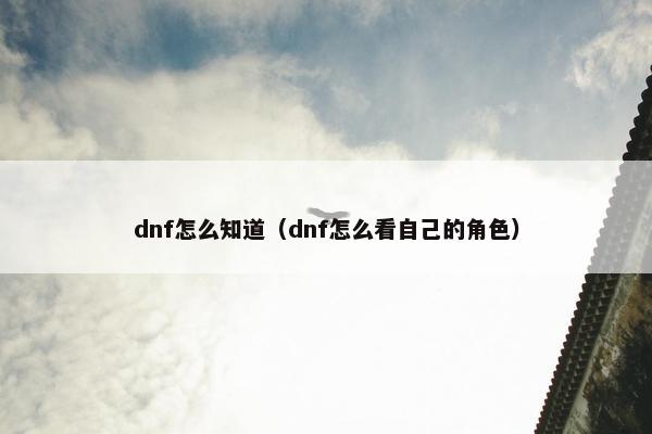 dnf怎么知道（dnf怎么看自己的角色）