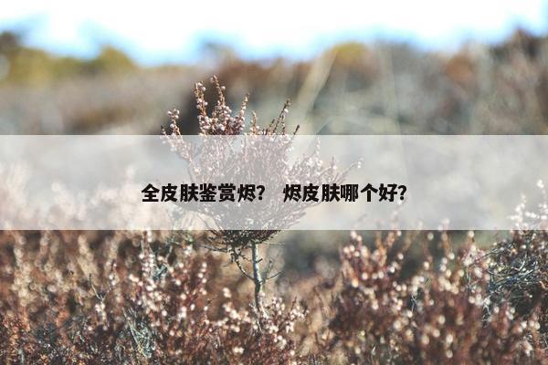全皮肤鉴赏烬？ 烬皮肤哪个好？