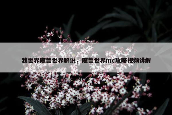 我世界魔兽世界解说，魔兽世界mc攻略视频讲解