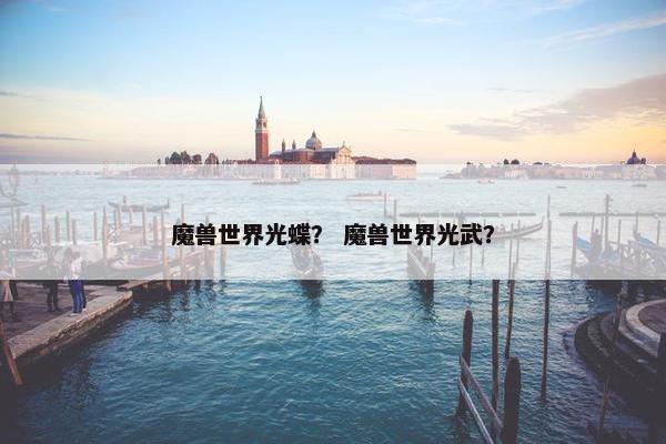 魔兽世界光蝶？ 魔兽世界光武？