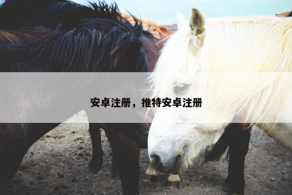 安卓注册，推特安卓注册