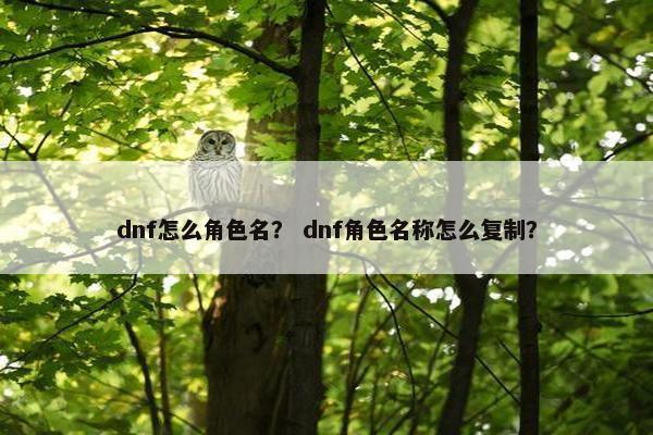 dnf怎么角色名？ dnf角色名称怎么复制？
